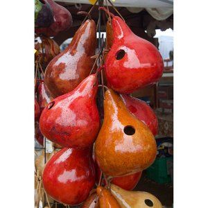 Gourd Birdhouse Stained Handmade